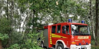 Brand im Kaltenweider Moor.
