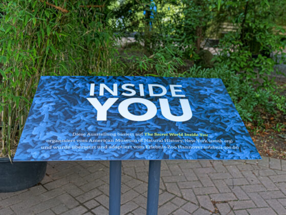 Ausstellungseröffnung "Inside You"