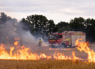 Feuerwehr Langenhagen: Wehren üben die gemeinsame Vegetationsbrandbekämpfung in Sonder-Übungsdienst Feuerwehrübung - Vegetationsbrandbekämpfung