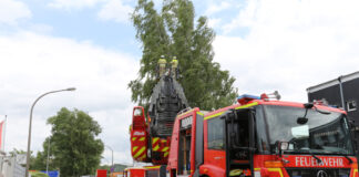 Sturmschaden-Baum-Kopernikusstraße