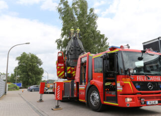 Langenhagener Feuerwehr rückt mit Drehleiter aus Sturmschaden-Baum-Kopernikusstraße
