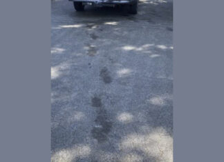 Zahlreiche Fluchtversuche bei der bundesweiten Schwerpunktprüfung im Gastronomie- und Hotelgewerbe Bei seiner Flucht durchquerte der Arbeitnehmer einen Fluss. Seine daraufhin nasse Kleidung hinterließ Fußabdrücke auf dem Boden, wodurch die Zöllner ihn später in einem geparkten Auto feststellen konnten.