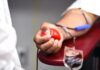 blut spenden im sommer: appell zu weltblutspendetag blutspende