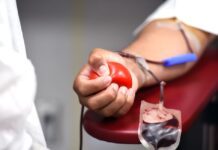 Blut spenden im Sommer: Appell zu Weltblutspendetag Blutspende