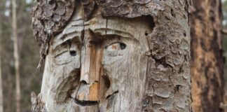 Symbolbild: Holzschnitzerei / Figur
