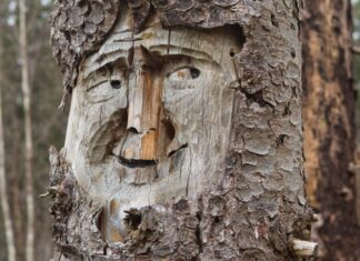 Vermeintlicher Mann auf Nachbargrundstück verängstigt Seniorin Symbolbild: Holzschnitzerei / Figur