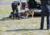 Polizeikontrolle