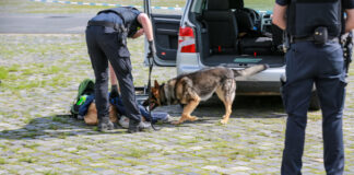 Polizeikontrolle