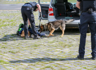 Großkontrolle auf dem Schützenplatz und in der hannoverschen Innenstadt zeigt Vielzahl von Verstößen Polizeikontrolle