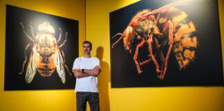 Neue Ausstellung im Erlebnis-Zoo Hannover - „Extinct & Endangered: Insekten in Gefahr“
