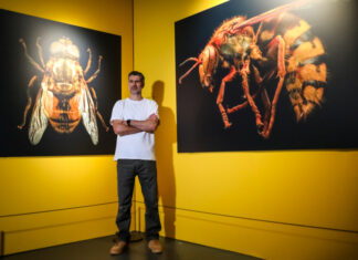 Neue Ausstellung im Erlebnis-Zoo Hannover – „Extinct & Endangered: Insekten in Gefahr“ Neue Ausstellung im Erlebnis-Zoo Hannover - „Extinct & Endangered: Insekten in Gefahr“