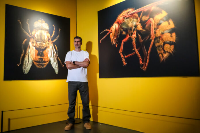 Neue Ausstellung im Erlebnis-Zoo Hannover - „Extinct & Endangered: Insekten in Gefahr“