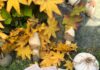 Am Montag den 9. Oktober startet die Anmeldung für das kreARTiv werkstatt Programm Herbst/Winter.