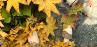 Am Montag den 9. Oktober startet die Anmeldung für das kreARTiv werkstatt Programm Herbst/Winter.
