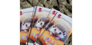 Flyer: Herbstferien in Langenhagen: Erlebnisangebote für Kinder und Jugendliche