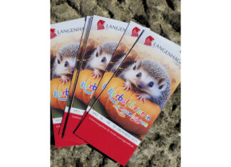 Herbstferien in Langenhagen 2023: Erlebnisangebote für Kinder und Jugendliche Flyer: Herbstferien in Langenhagen: Erlebnisangebote für Kinder und Jugendliche