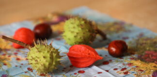 Herbstdekoration