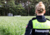 Menschliche Überreste in Waldgebiet aufgefunden.