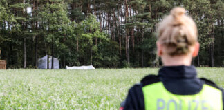 Menschliche Überreste in Waldgebiet aufgefunden.