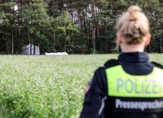 Unbekannter Leichnam im Wald aufgefunden Menschliche Überreste in Waldgebiet aufgefunden.