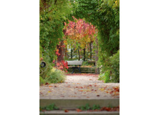 Zum fünften Mal in Herrenhausen: „International Garden Photographer of the Year“ (IGPOTY) Platz 1 des Wettbewerbs