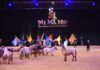 Pferd & Jagd - Show MiMaMo