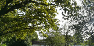 Für die Neugestaltung wurde das Baufeld bereits abgesperrt. Der Weg zwischen den beiden Parkplätzen bleibt frei; er kann weiterhin von zu Fuß Gehenden und Radfahrenden genutzt werden.