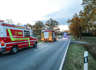 Alarmstichwort: Tierrettung – Ausflug ging glimpflich aus Feuerwehreinsatz-Engelbostel-Resser Straße
