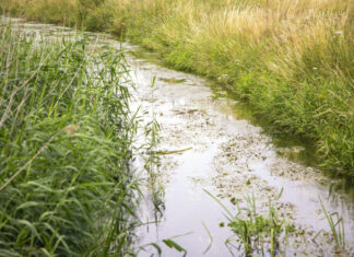 Aus der Luft und unter Wasser der Wietze folgen Wietze bei Langenhagen