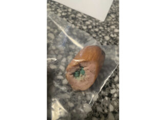 Vahrenwald: Polizei Hannover warnt vor Giftködern und sucht Zeugen Warnung vor Giftködern in Hannover-Vahrenwald.