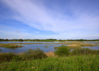 NABU-Vortrag entführt ins Traumland Masuren – Naturparadies im Nordosten Polens Masurenreise 2010