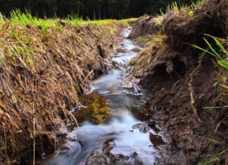 Stadt Langenhagen führt am 23. November ihre Gewässerschau durch Bach / Graben / Bachlauf