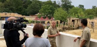 Das Kamera-Team von Seelöwe und Co hat die Tierpflegenden vor und hinter den Kulissen begleitet.