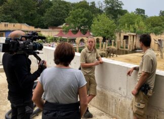 NEUE FOLGEN „SEELÖWE & CO.“ IM NDR Das Kamera-Team von Seelöwe und Co hat die Tierpflegenden vor und hinter den Kulissen begleitet.