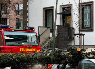 Mehrere Sturmeinsätze für Hannovers Feuerwehren Sturmeinsätze in Hannover - Baum auf PKW.