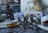 Tierisch spannende Inventur im Erlebnis-Zoo Hannover
