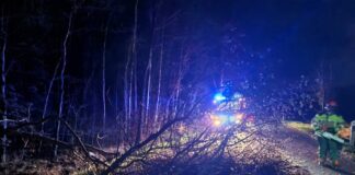 Feuerwehr Kaltenweide räumt umgestürzten Baum von der Straße.
