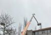 FW Hannover: Katze mit Teleskopmastbühne aus Baum gerettet