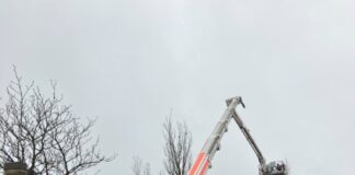FW Hannover: Katze mit Teleskopmastbühne aus Baum gerettet