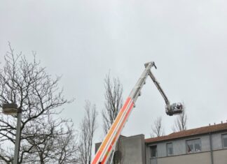 Katze mit Teleskopmastbühne aus Baum gerettet FW Hannover: Katze mit Teleskopmastbühne aus Baum gerettet