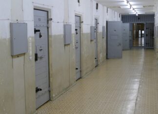 Täter nach Messerangriff in Untersuchungshaft Gefängnis / Haftanstalt / Justiz