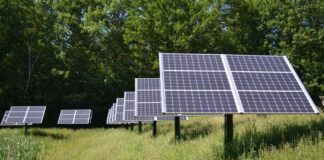 Freiflächenphotovoltaik