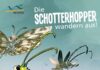 Infos speziell für Kinder: Mit dem NLWKN die spannende Welt der Insekten kennenlernen