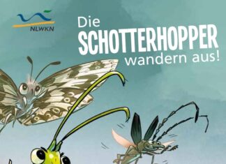 Infos speziell für Kinder: Mit dem NLWKN die spannende Welt der Insekten kennenlernen Infos speziell für Kinder: Mit dem NLWKN die spannende Welt der Insekten kennenlernen