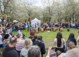 Hanami auf der Bult: Hannover feiert das 24. Kirschblütenfest im Hiroshima-Hain Kirschblütenfest Hannover