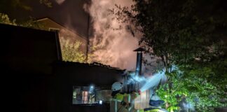 Feuerwehreinsatz für Kaltenweide: Laubenbrand im Ernst-Hugo-Weg