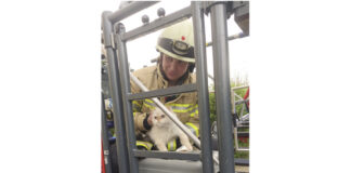 Tierische Rettungsaktion: Feuerwehr rettet Katze "Mischa".