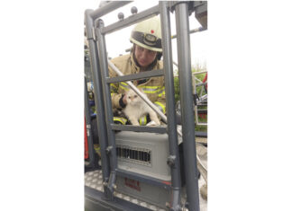 Tierische Rettungsaktion: Feuerwehr Lehrte rettet Katze „Mischa“ Tierische Rettungsaktion: Feuerwehr rettet Katze "Mischa".