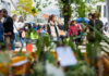 KSG - Wiesenau Frühlingsfest