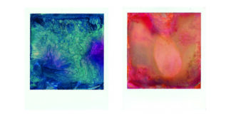 Polaroid Paintings
